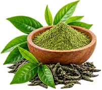 Polvo de hojas y brotes de té verde, ingrediente de {{OFFER_NAME}}